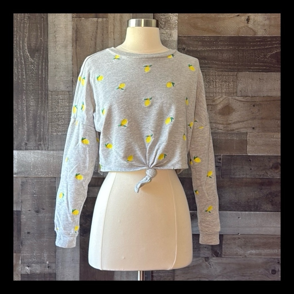 Love,Fire gray cropped sweater small embroidered lemons festival girlhoodcore